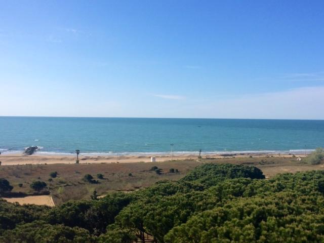 Ariston - Walterigato Apartments Solo Per Famiglie Lido di Jesolo Eksteriør bilde